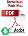 Download PDF